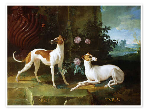 Poster Misse and Turlu, two greyhounds by Louis XV