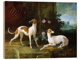 Wood print Misse and Turlu, two greyhounds by Louis XV