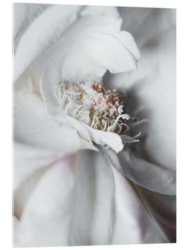 Akryylilasitaulu Elegant flower