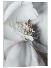Alubild Elegante Blume
