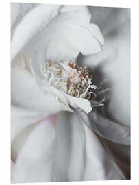 Foam board print Elegant flower