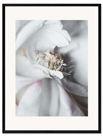 Gerahmter Kunstdruck Elegante Blume