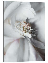 Gallery print Elegant flower