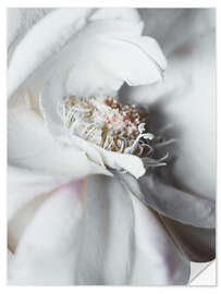 Selvklæbende plakat Elegant flower