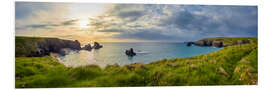 Foam board print Cornwall's green coast