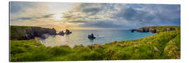 Gallery print Cornwall's green coast