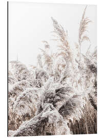 Magnettafel Gräser I