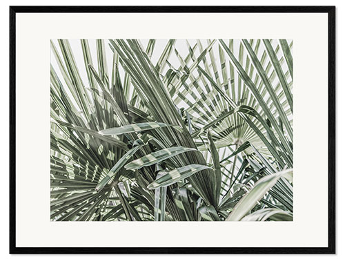 Impressão artística com moldura Selva verde III