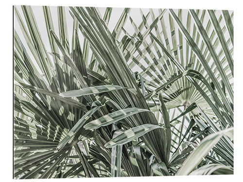 Gallery print Green jungle III