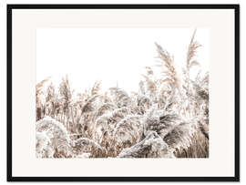 Gerahmter Kunstdruck Gräser III