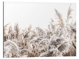 Magnettafel Gräser III