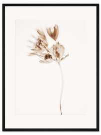 Gerahmter Kunstdruck Goldene Schönheit II