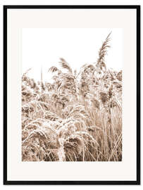 Ingelijste kunstdruk Golden grass III