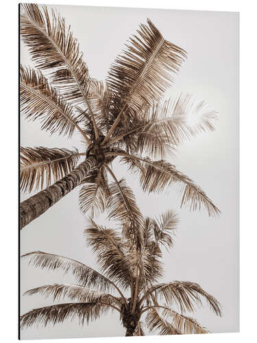 Aluminium print Golden palm VI