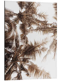 Aluminium print Golden palm V