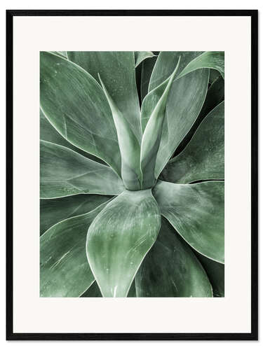 Inramat konsttryck Cactus III