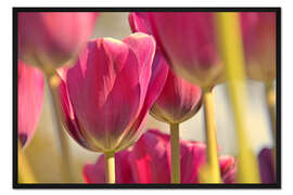 Gerahmter Kunstdruck Frühlingsleuchten