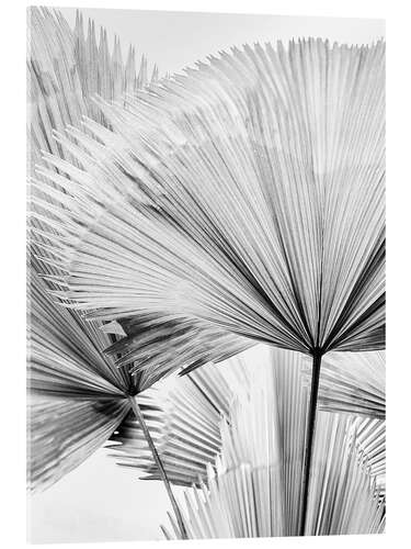 Acrylic print Leaf II