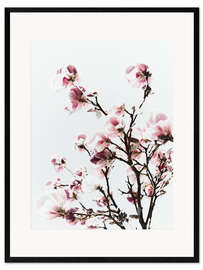 Ingelijste kunstdruk Pink magnolia