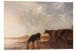 Foam board print River landscape with cows