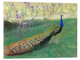 Foam board print The peacock