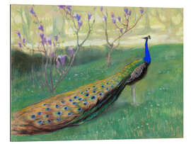 Gallery print The peacock