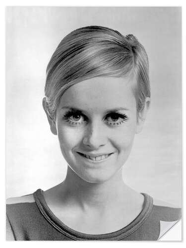 Wall sticker Smiling twiggy