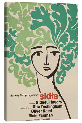 Canvas print Sidla