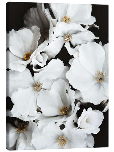 Canvas print White flowers