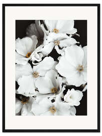 Gerahmter Kunstdruck Weiße Blüten