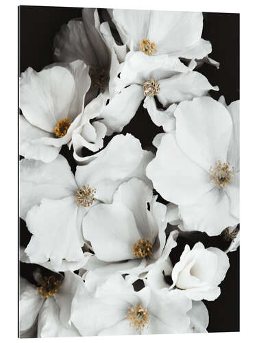 Gallery print White flowers