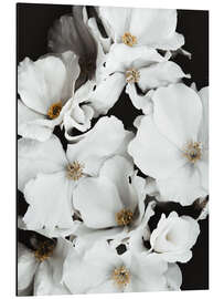 Magnettafel Weiße Blüten