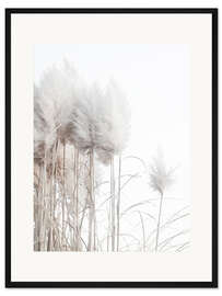 Gerahmter Kunstdruck Pampasgras II