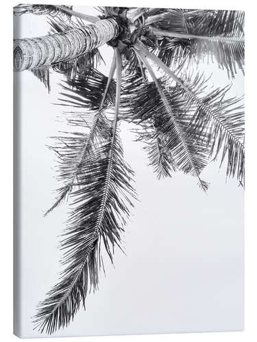 Canvas print Palm I.