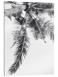 Gallery print Palm I.