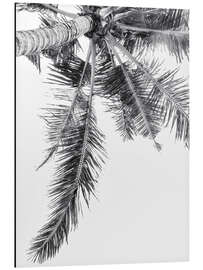 Magnettafel Palme I.