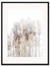 Gerahmter Kunstdruck Pampasgras I