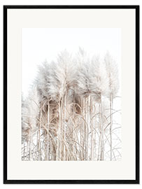 Framed art print Pampas Grass I