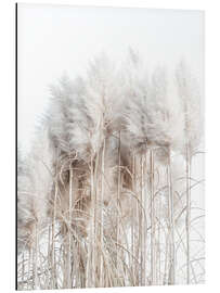 Magnettafel Pampasgras I