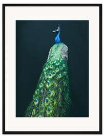 Gerahmter Kunstdruck Pfau I