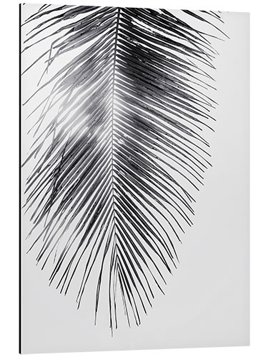 Aluminium print Palm tree IV