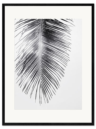 Gerahmter Kunstdruck Palmenwedel IV