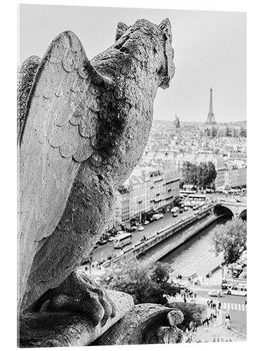 Acrylglasbild Notre-Dame II