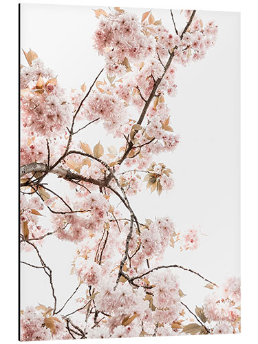 Tableau en aluminium Fleurs de printemps I