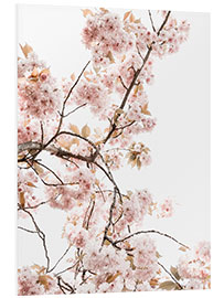 Foam board print Spring blossom I