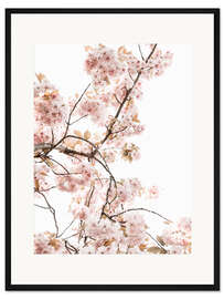 Gerahmter Kunstdruck Frühlingsblüte I