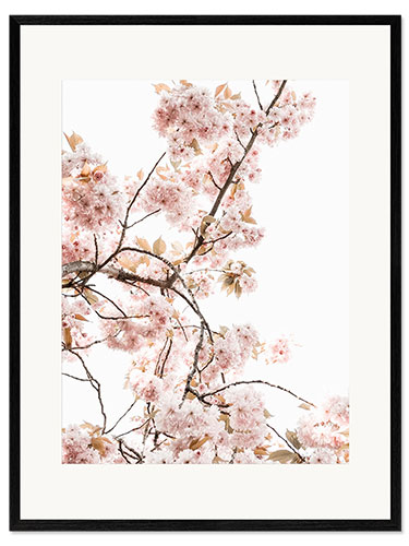 Impresión de arte enmarcada Flor de primavera I