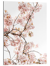 Gallery print Spring blossom I