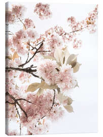 Lærredsbillede  Spring flowering - Magda Izzard