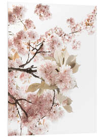 Foam board print Spring flowering